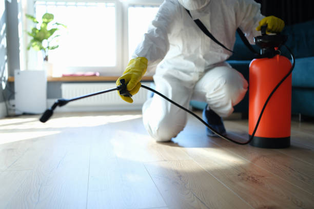 Reliable Odor Removal contractor in Herald, CA by Trauma Clean Pros